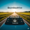 $sundaydrive ADA Handle $sundaydrive